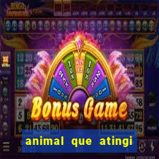 animal que atingi 230 decibeis